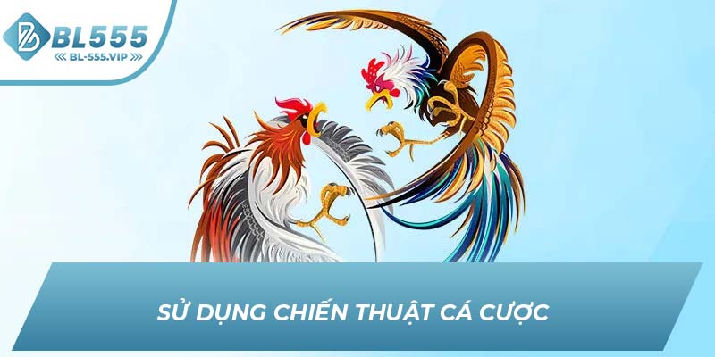 Sử dụng chiến thuật cá cược 
