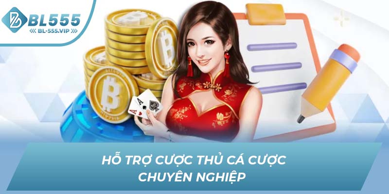 Hỗ trợ cược thủ cá cược chuyên nghiệp 