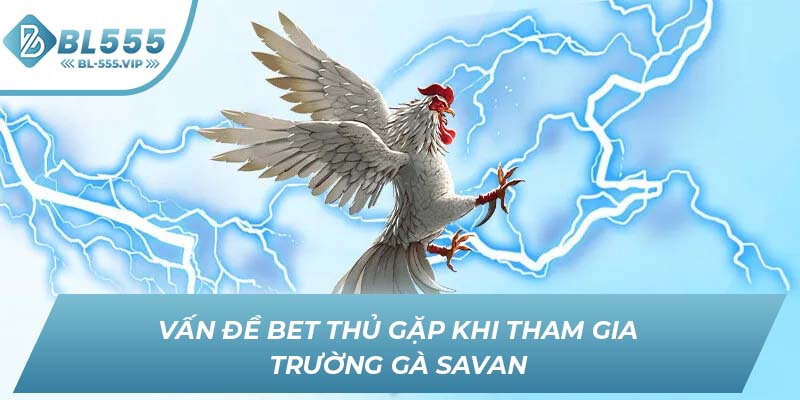 Vấn đề bet thủ gặp khi tham gia Trường Gà Savan